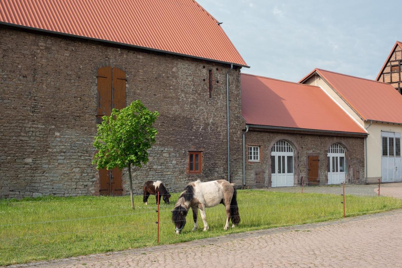 Sonnenschloss Walbeck  المظهر الخارجي الصورة